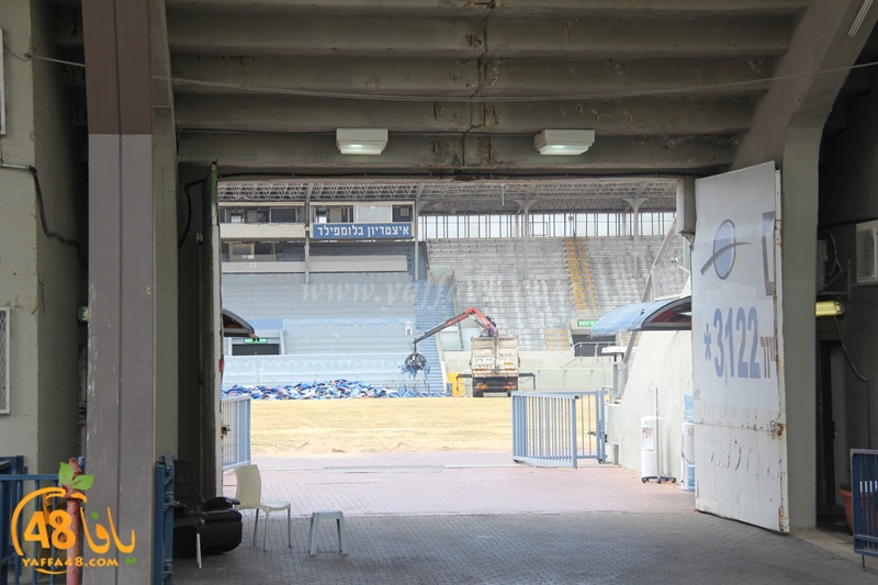 blomfeild mal3ab31 (4).JPG